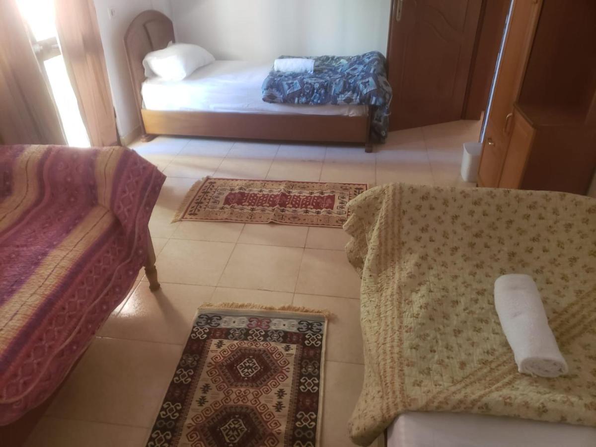 Hostel Split Rock Τίρανα Εξωτερικό φωτογραφία