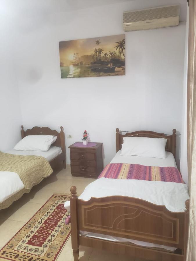 Hostel Split Rock Τίρανα Εξωτερικό φωτογραφία