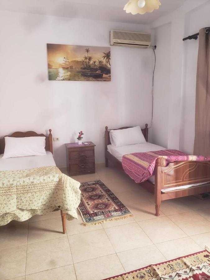 Hostel Split Rock Τίρανα Εξωτερικό φωτογραφία
